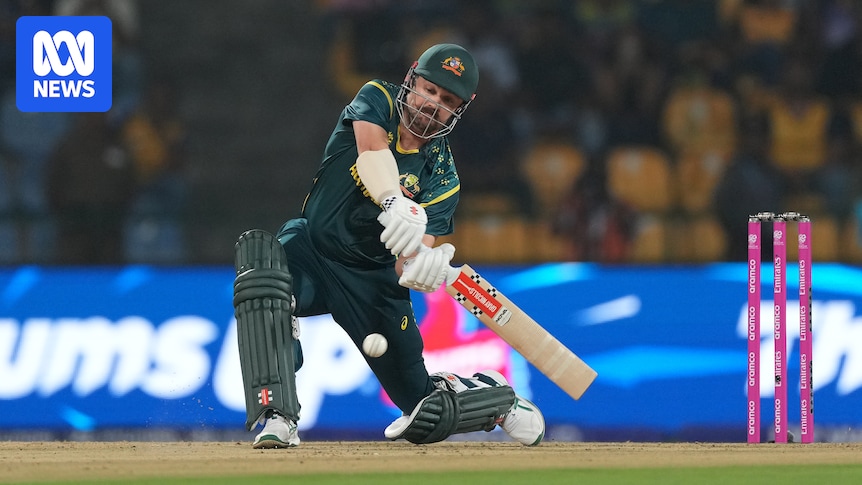 Australia's T20 World Cup Exit: Did Commitment Truly Falter?